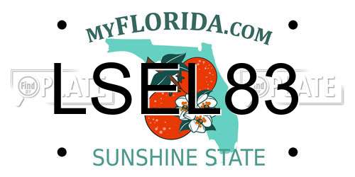 LSEL83 Florida License Plate