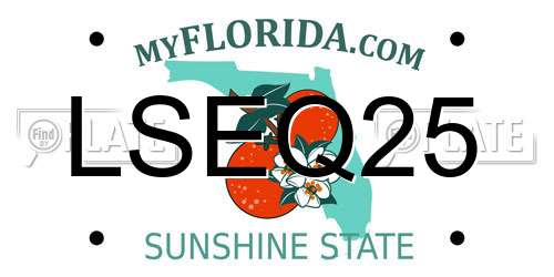 LSEQ25 Florida License Plate