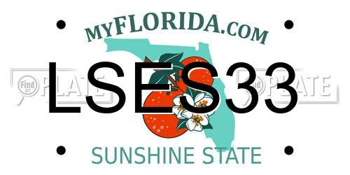 LSES33 Florida License Plate