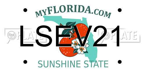 LSEV21 Florida License Plate