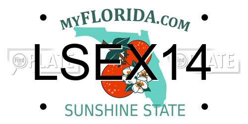LSEX14 Florida License Plate