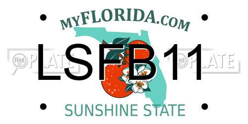LSFB11 Florida License Plate