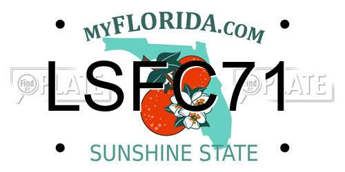 LSFC71 Florida License Plate