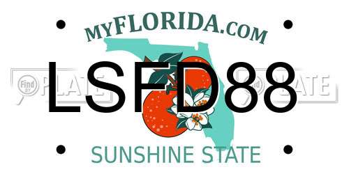 LSFD88 Florida License Plate