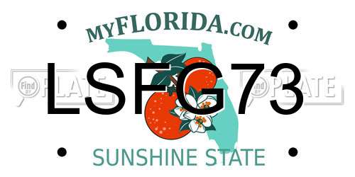 LSFG73 Florida License Plate
