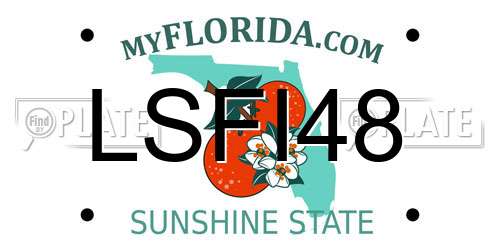 LSFI48 Florida License Plate