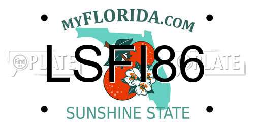 LSFI86 Florida License Plate