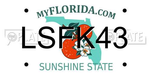 LSFK43 Florida License Plate