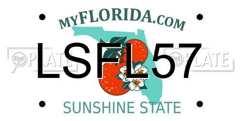 LSFL57 Florida License Plate