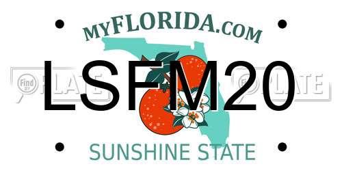 LSFM20 Florida License Plate