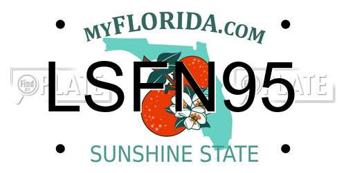 LSFN95 Florida License Plate