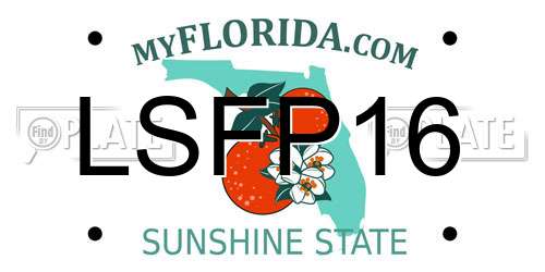LSFP16 Florida License Plate