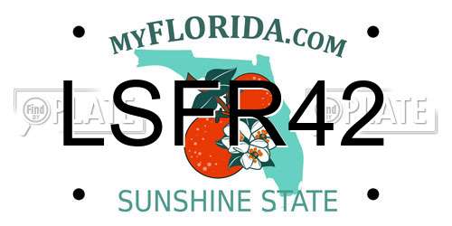 LSFR42 Florida License Plate