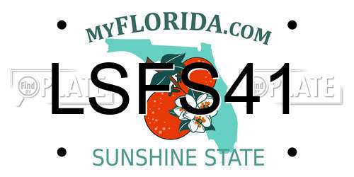LSFS41 Florida License Plate