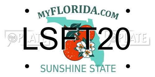 LSFT20 Florida License Plate