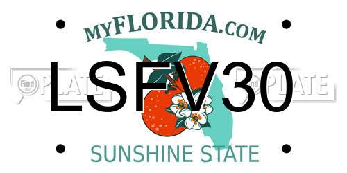LSFV30 Florida License Plate