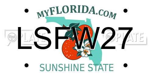LSFW27 Florida License Plate