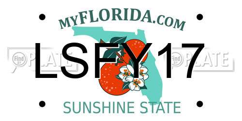LSFY17 Florida License Plate