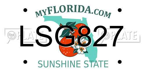 LSG827 Florida License Plate