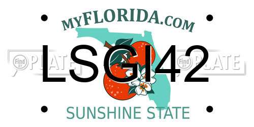 LSGI42 Florida License Plate