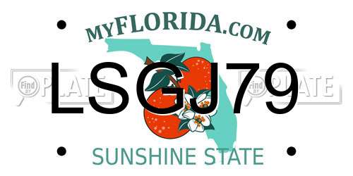 LSGJ79 Florida License Plate