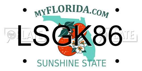 LSGK86 Florida License Plate