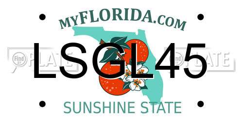 LSGL45 Florida License Plate