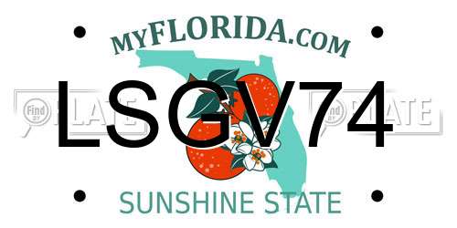 LSGV74 Florida License Plate