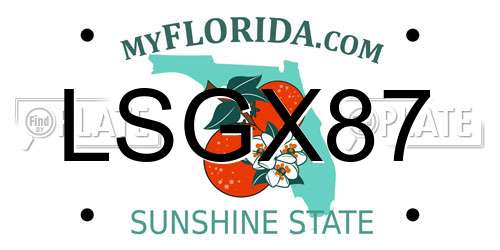 LSGX87 Florida License Plate