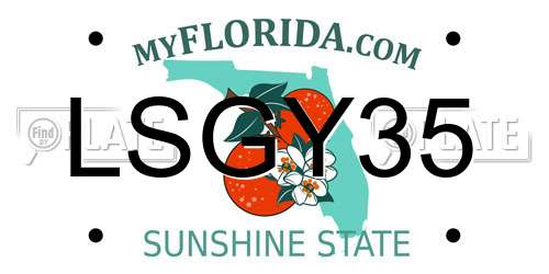 LSGY35 Florida License Plate
