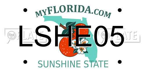 LSHE05 Florida License Plate