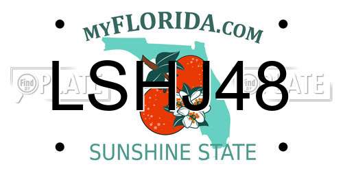 LSHJ48 Florida License Plate