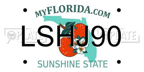 LSHJ90 Florida License Plate