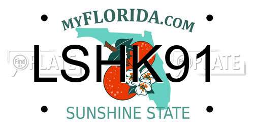 LSHK91 Florida License Plate