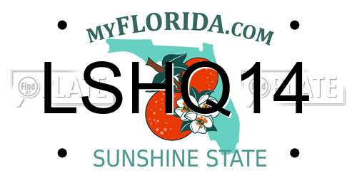 LSHQ14 Florida License Plate