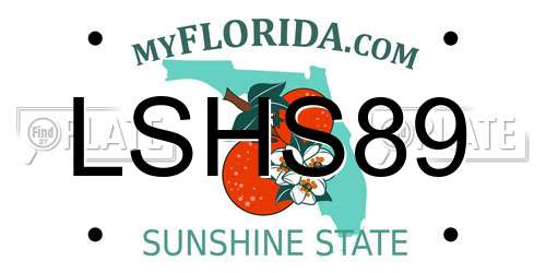LSHS89 Florida License Plate