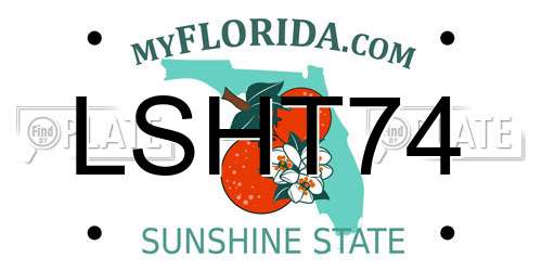 LSHT74 Florida License Plate