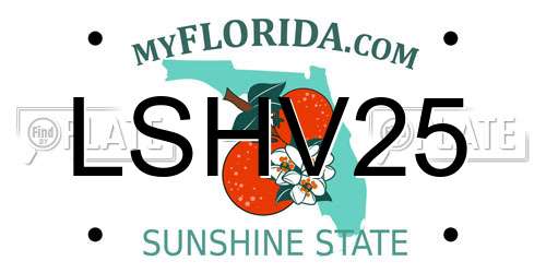LSHV25 Florida License Plate