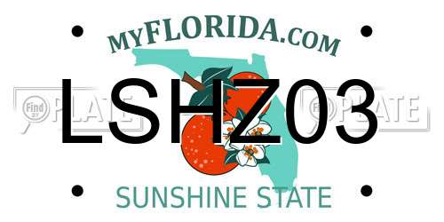 LSHZ03 Florida License Plate