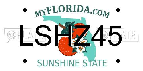 LSHZ45 Florida License Plate