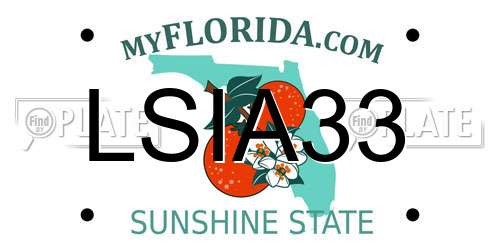 LSIA33 Florida License Plate