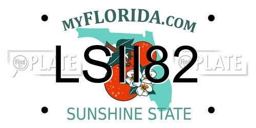 LSII82 Florida License Plate