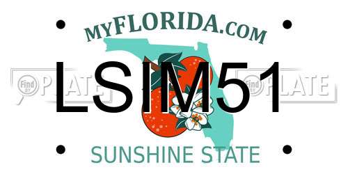 LSIM51 Florida License Plate