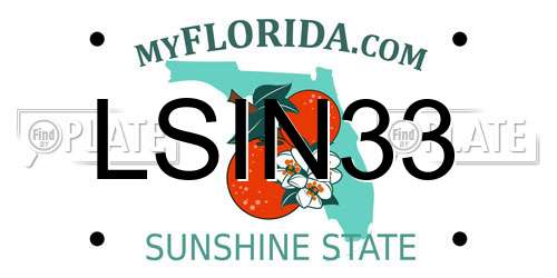 LSIN33 Florida License Plate