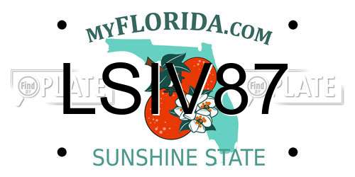 LSIV87 Florida License Plate