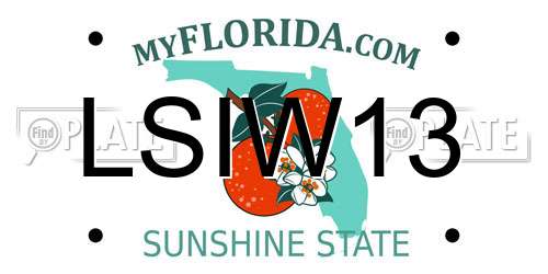 LSIW13 Florida License Plate