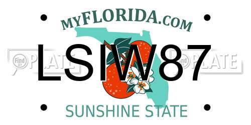 LSIW87 Florida License Plate