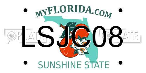 LSJC08 Florida License Plate
