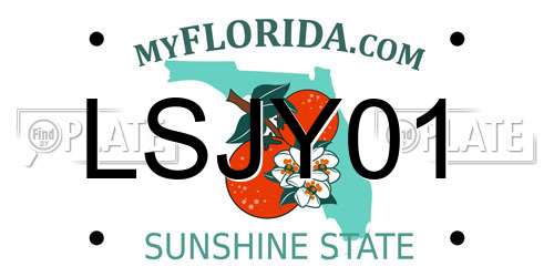 LSJY01 Florida License Plate