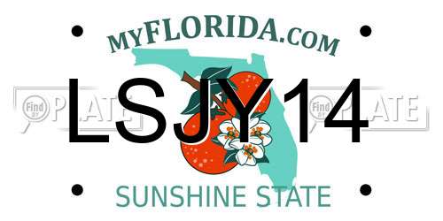 LSJY14 Florida License Plate